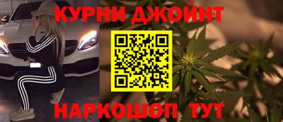 сатива Лесосибирск