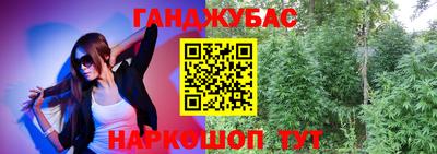 сатива Лесосибирск