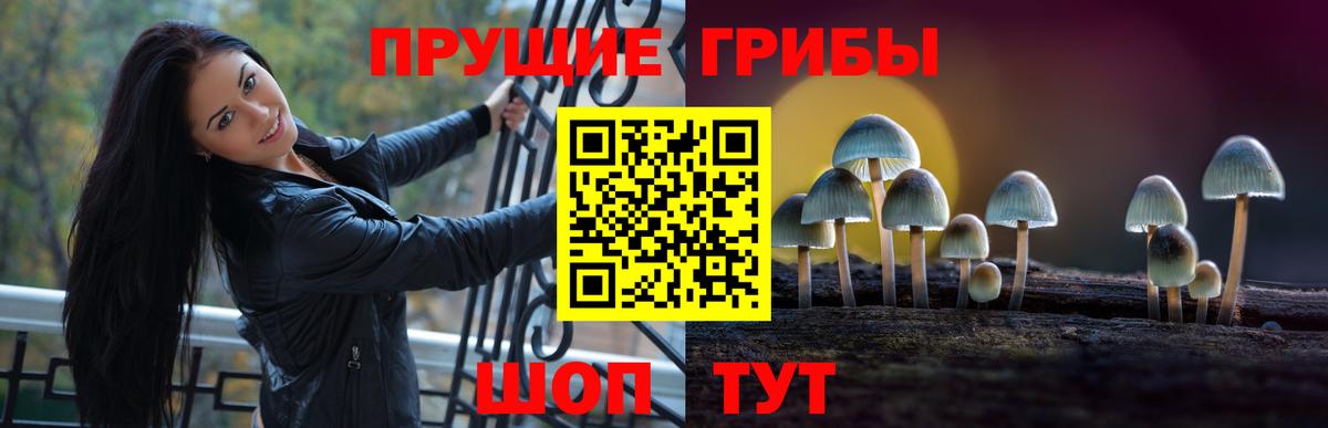 Псилоцибиновые грибы ЛСД  Вход с VPN  Видное 